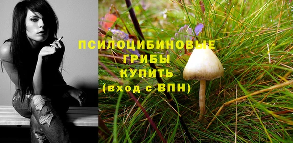 синтетический гашиш Верхний Тагил