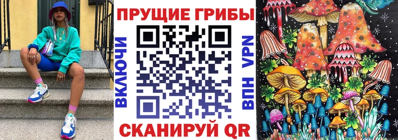 Галлюциногенные грибы мицелий  Купить закладки  Павлово 
